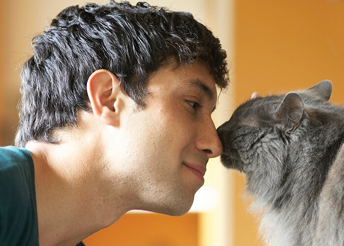 Portfolio trabajos Meyer MeyerAction