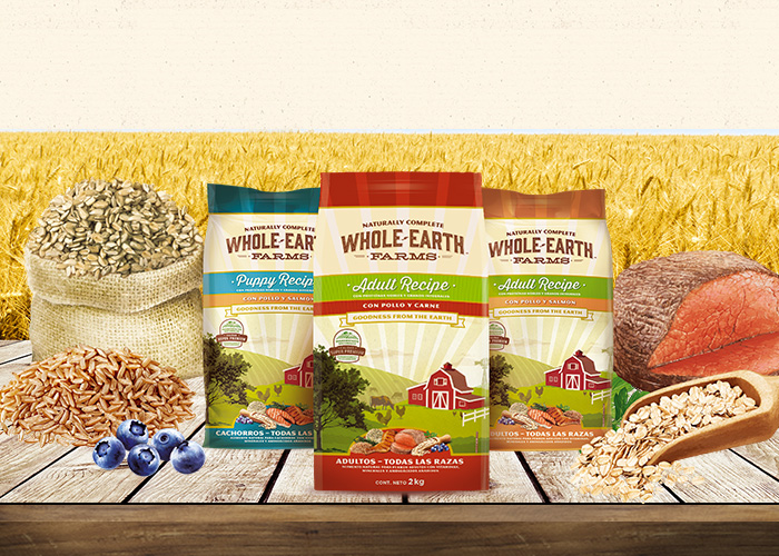 Portfolio trabajos Meyer MeyerAction