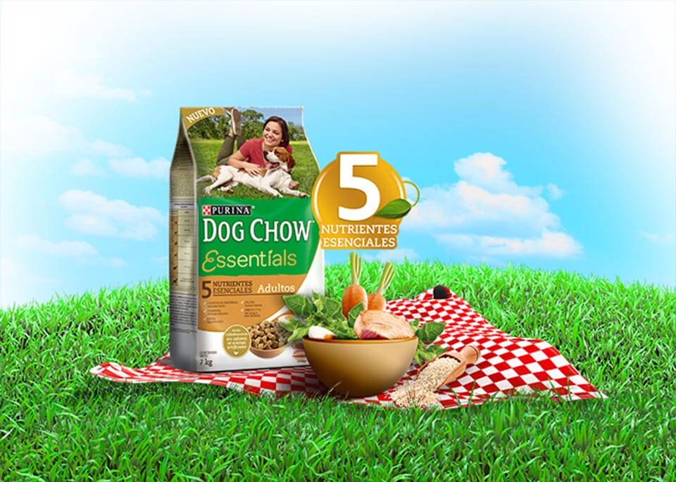 Portfolio trabajos Meyer MeyerAction